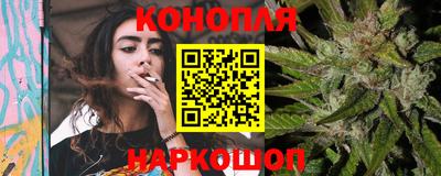 mdpv Новодвинск