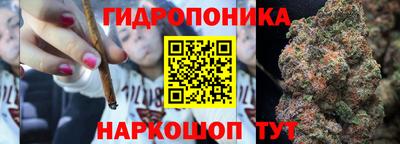 стаф Новозыбков