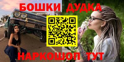 сатива Новокубанск