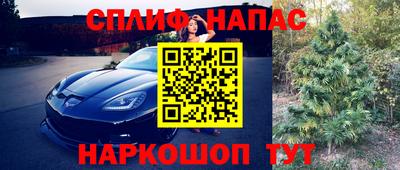 сатива Новокубанск