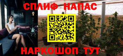 mdpv Новодвинск